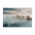 Trademark Fine Art Marco Galimberti 'Winter Forest Fog' Canvas Art, 16x24 1X07754-C1624GG